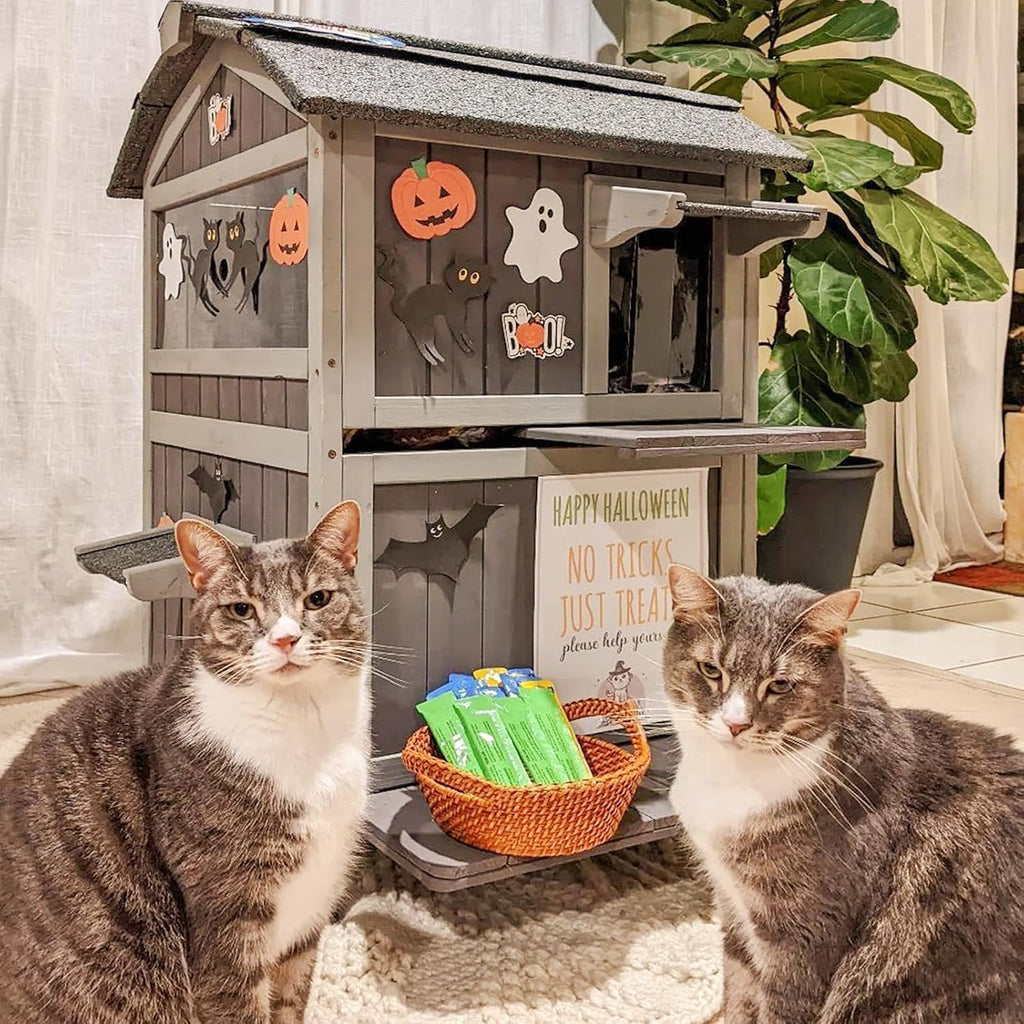 Aivituvin Outdoor Feral Cat House 2-Story Cat Cottage Kitten Shelter with Window