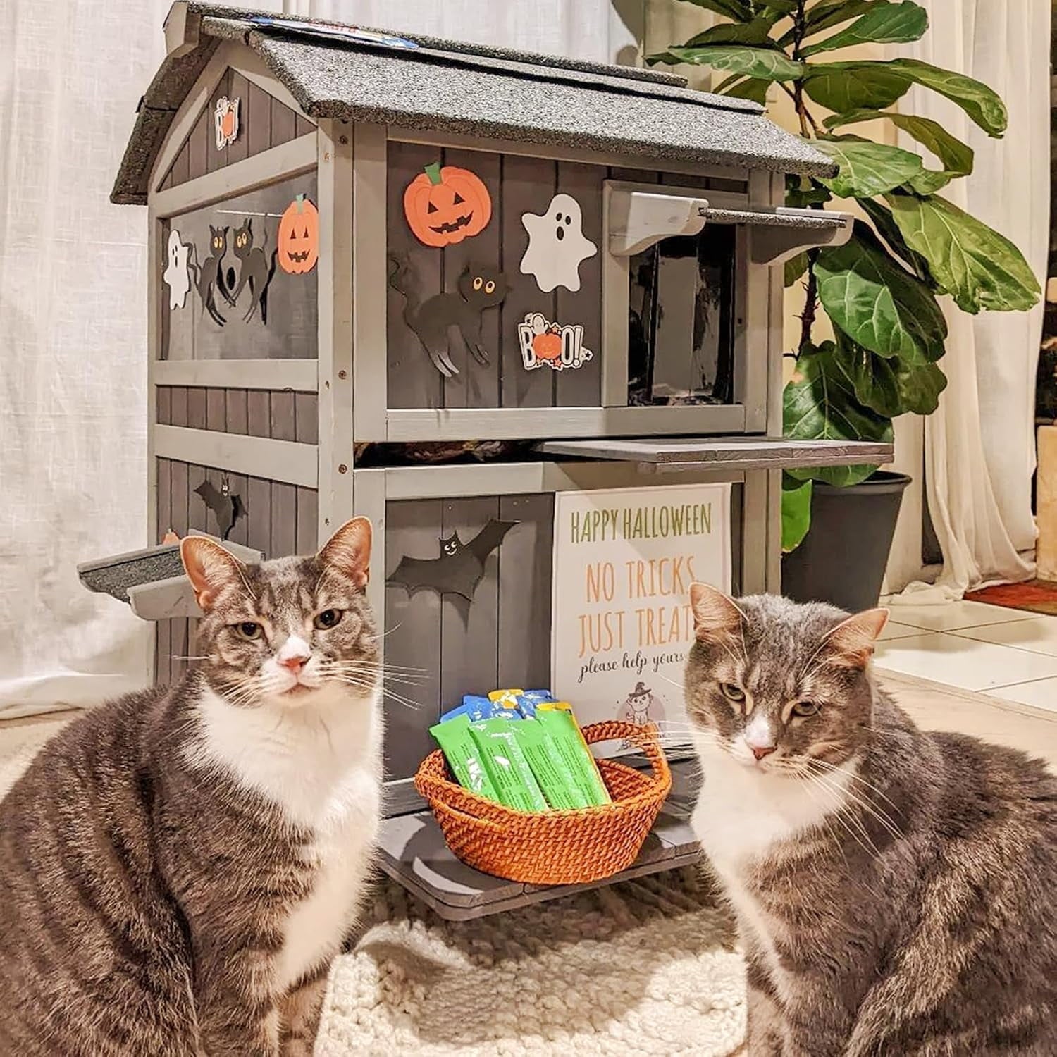 Aivituvin Outdoor Feral Cat House 2-Story Cat Cottage Kitten Shelter with Window