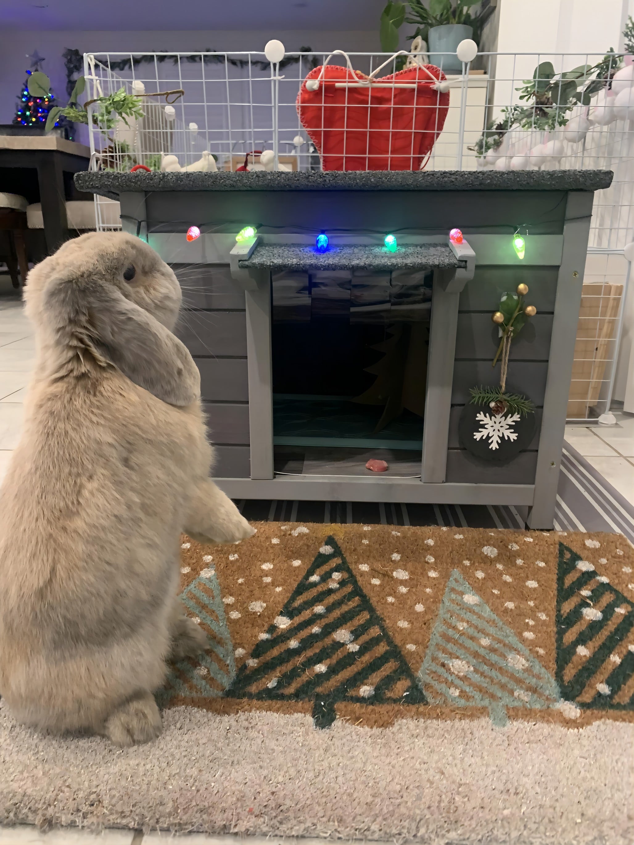 Aivituvin Cat House for Outdoor Cats Insulated Feral Kitty Shelter with Warm Liner for Winter Waterproof Rabbit Hutch for Bunnies,Cats