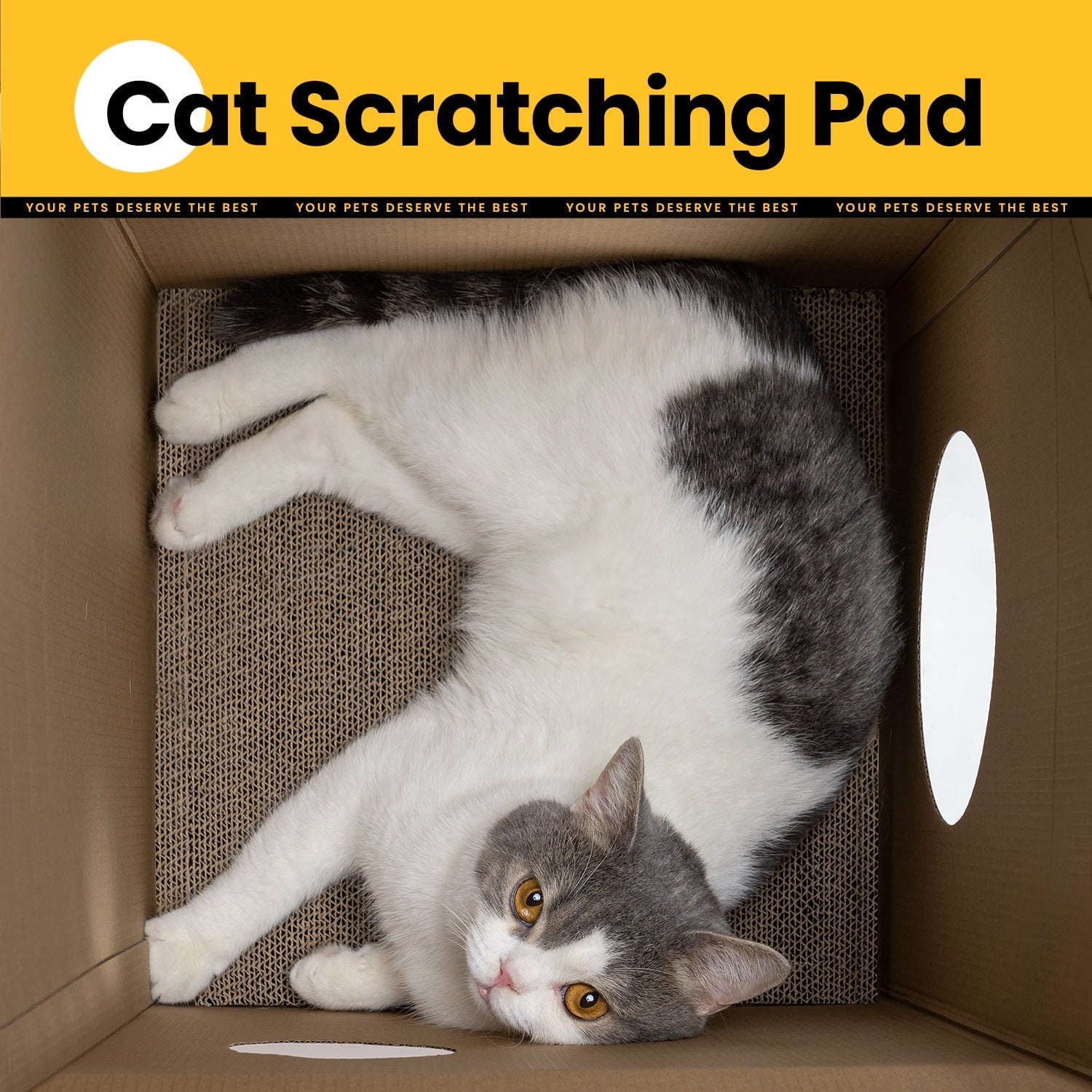 Conlun Cat Scratcher Cardboard Cat House with Cat Scratching Pad&amp;Catnip,Removable Cat Scratcher Pad Home Toy for Indoor Cats