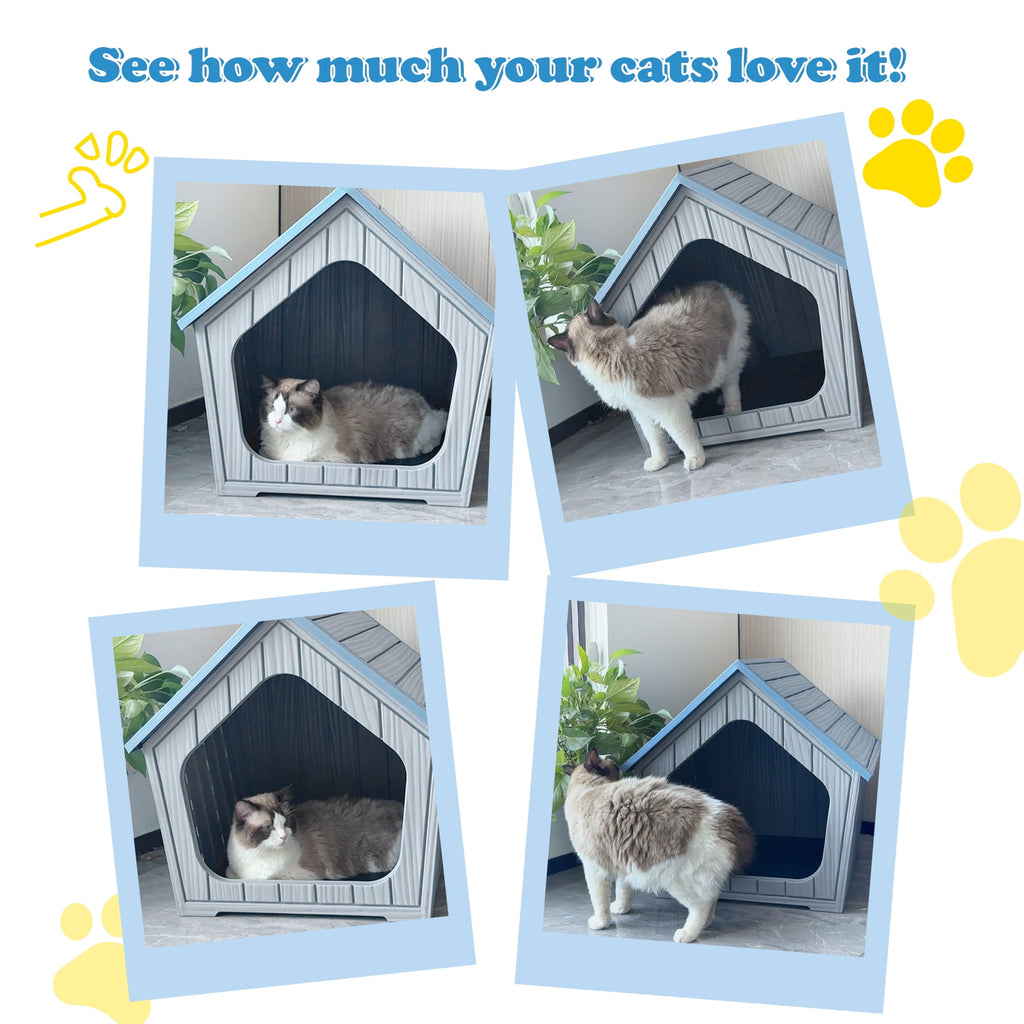 Bifanuo Weatherproof Outdoor Cat House - Insulated Resin Shelter for Indoor &amp; Feral Cats