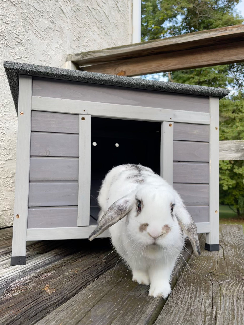 Aivituvin Cat House for Outdoor Cats Insulated Feral Kitty Shelter with Warm Liner for Winter Waterproof Rabbit Hutch for Bunnies,Cats