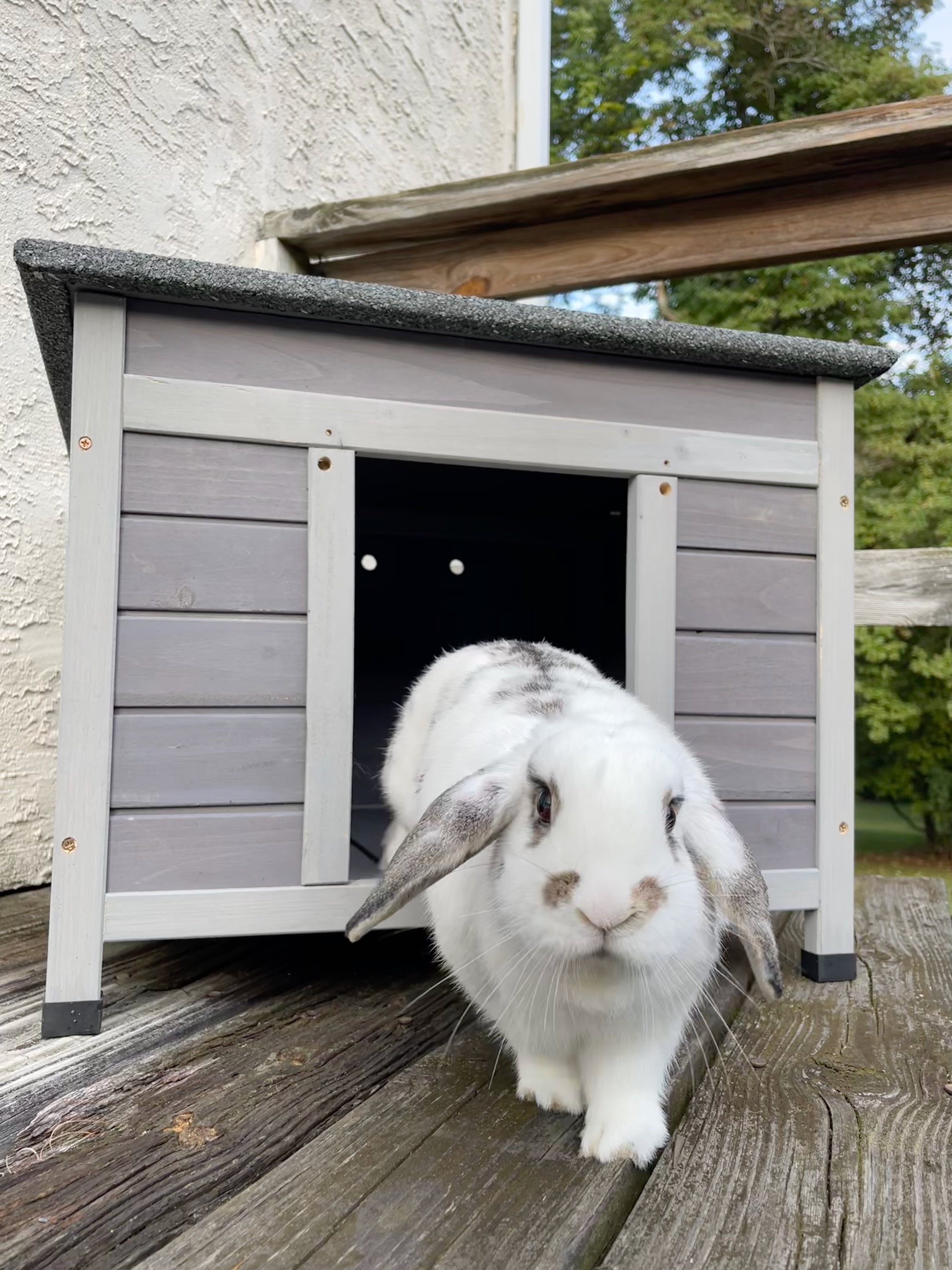 Aivituvin Cat House for Outdoor Cats Insulated Feral Kitty Shelter with Warm Liner for Winter Waterproof Rabbit Hutch for Bunnies,Cats