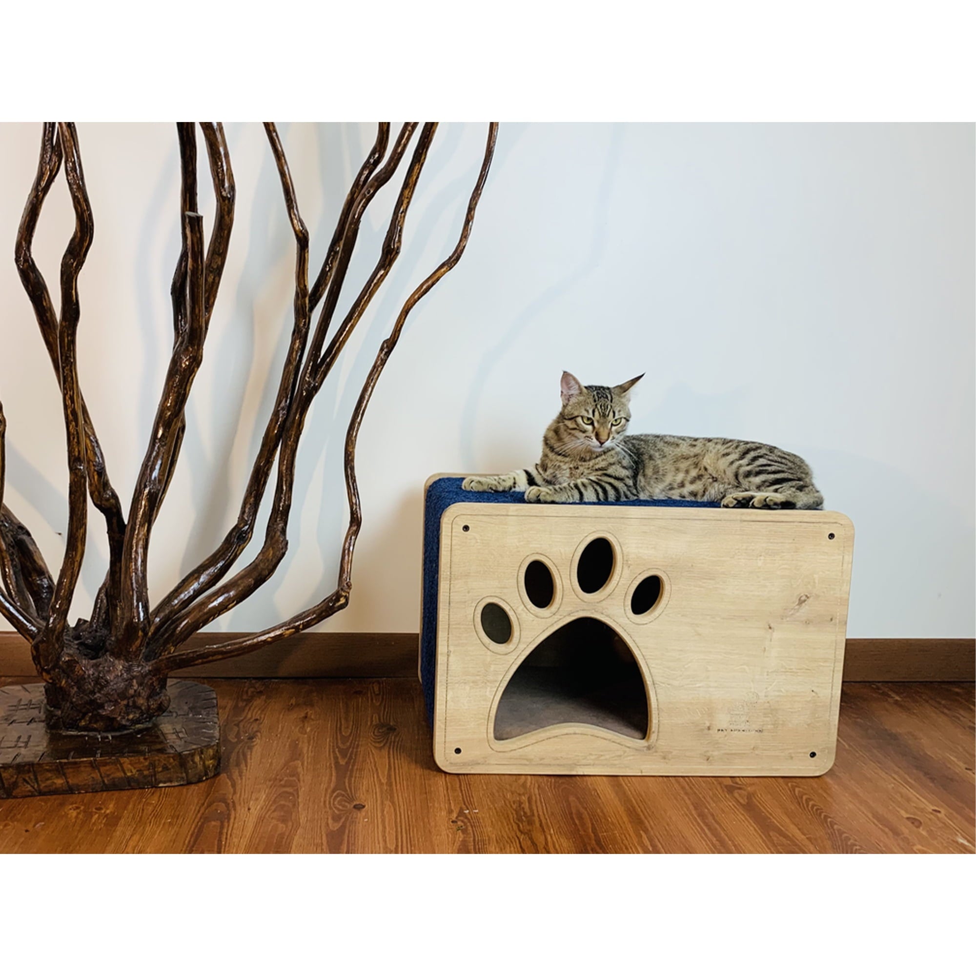 Luna Cat House and Scratcher, Cozy, Durable, and Engaging for Cats, Stylish, and Space-Saving for Cats