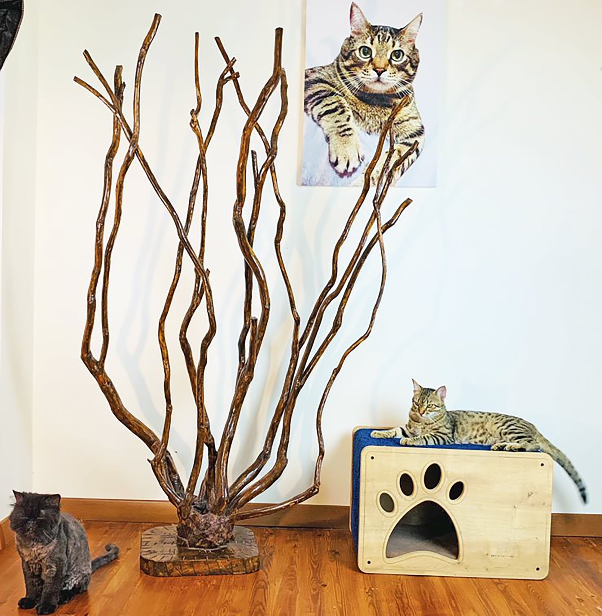 Luna Cat House and Scratcher, Cozy, Durable, and Engaging for Cats, Stylish, and Space-Saving for Cats