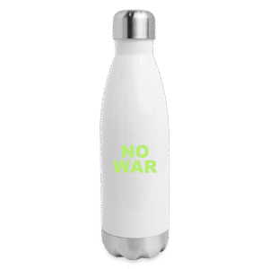 Insulated Stainless Steel Water Bottle