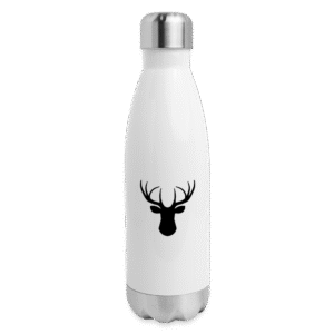 Insulated Stainless Steel Water Bottle