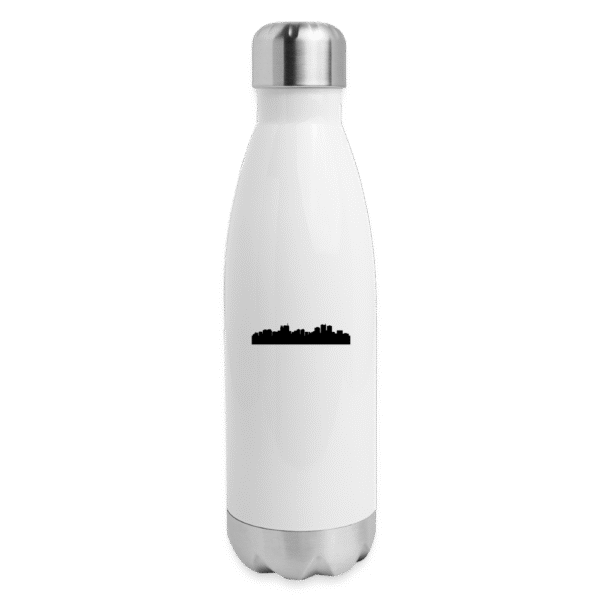 Insulated Stainless Steel Water Bottle