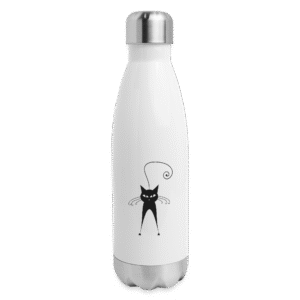 Insulated Stainless Steel Water Bottle