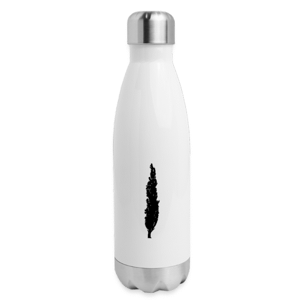 Insulated Stainless Steel Water Bottle