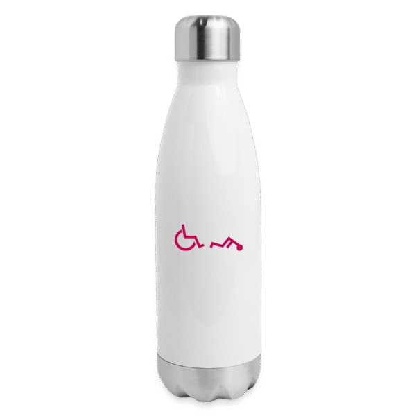 Insulated Stainless Steel Water Bottle